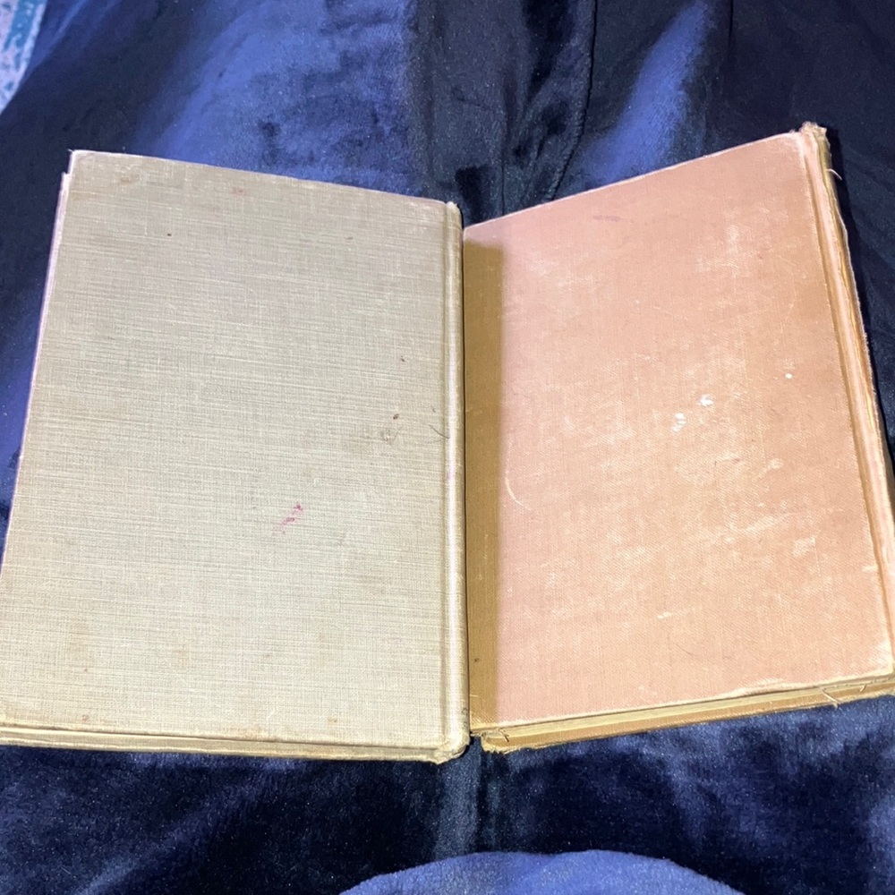 Antique Book Set: When They Were Boys & Out to Old Aunt Mary's - Picture 9 of 11